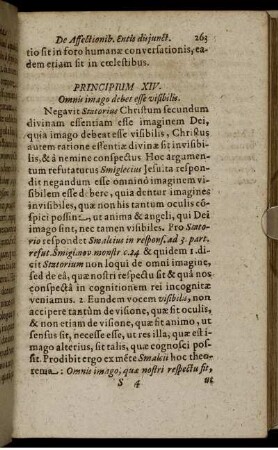 Principium XIV. Omnis imago debet esse visibilis.