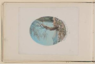 Die Tasso-Eiche im Klostergarten von St. Onofrio in Rom [aus einem Album aus dem Besitz der Bettine-Töchter]