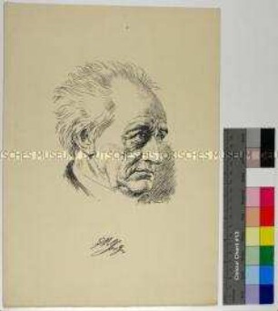 Reproduktion einer Zeichnung des alten Goethe