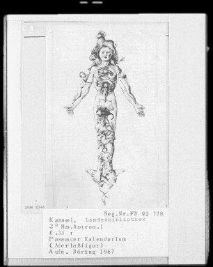 Passauer Kalendarium & Aderlaßfigur