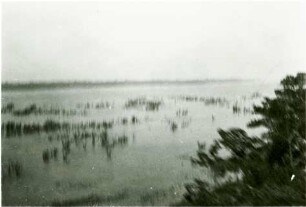 Río Paraná in der Nähe von Três Lagoas
