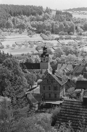 Blick auf ein Dorf im Harz