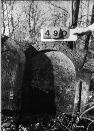Grabstein 490