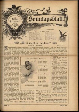 Ausgabe vom Sonntag, den 07. Juli 1895.