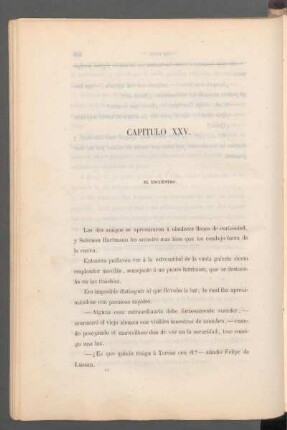 Capítulo XXV. - El encuentro.