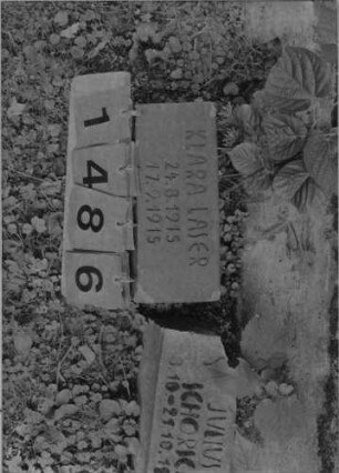 Grabstein 1486 [Hahn S. 242 Grab-Nr. 1911]