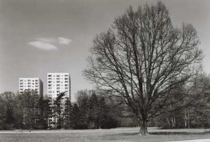Stübelallee
