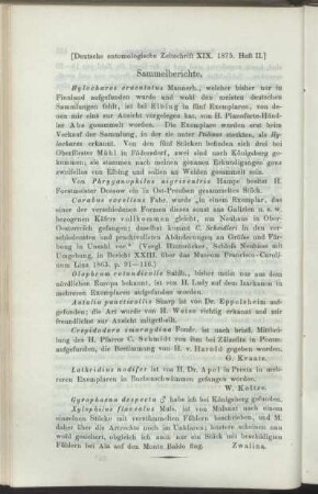 Sammelberichte