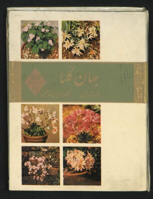 Kitāb-i Mir Ḥamza ʿArab
