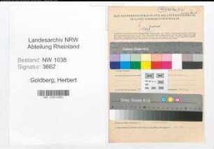 Entnazifizierung Herbert Goldberg , geb. 19.11.1910 (Angestellter)
