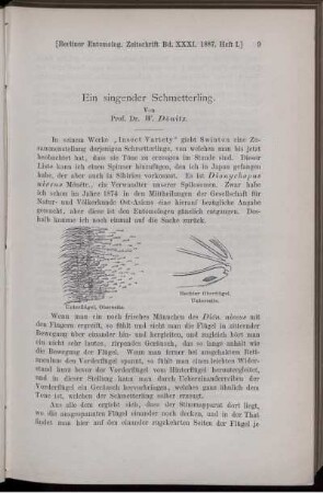 Ein singender Schmetterling.