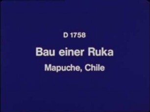Construyendo una Ruka. Mapuche, Chile