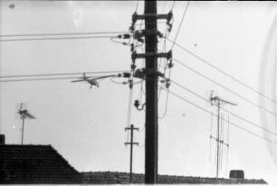 Kassel. Freileitungsmast mit Porzellanisolator