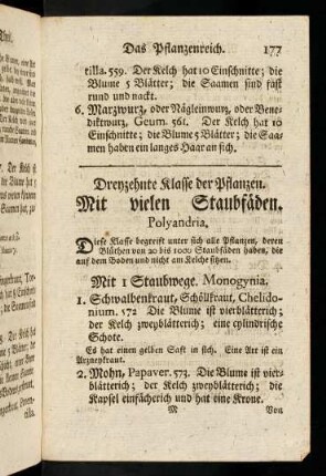 177-181, Mit vielen Staubfäden