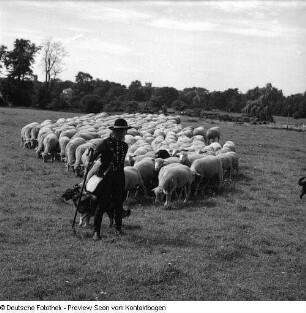Richter auf Elbwiese