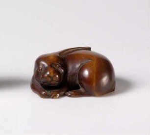 Hase