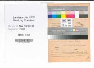 Entnazifizierung Fritz Horn, geb. 25.11.1901 (Bankinspektor)