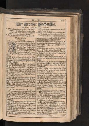 Der Prophet SacharJa.