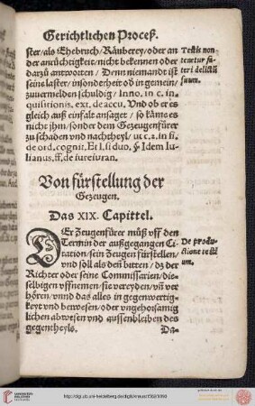 XIX. Capittel: Von Fürstellung der Gezeugen
