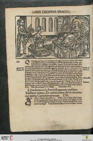 Liber decimus: de Anima & potentiis eiusdem