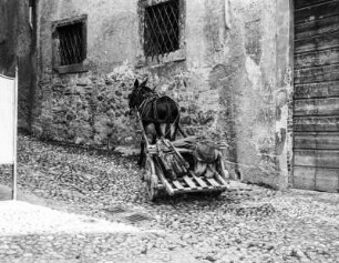Salò, Eselkarren
