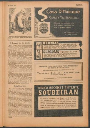 El lenguaje de los árboles