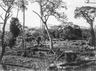 Lagerplatz : Blick über den Platz eines Lagers der Forschungsreisenden auf die bergige Landschaft. In der Bildmitte sind kleine Hütten erkennbar