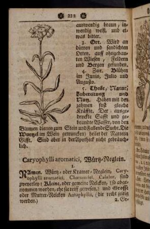 222-233, Caryophylli aromatici - Cedrus