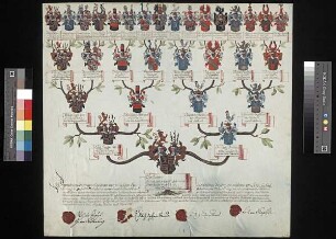Schirnding, Carl Ludewig, August Carl Friedrich, Ernst Friedrich Carl, Gebrüder derer von