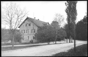 Moritzburg. Auer
