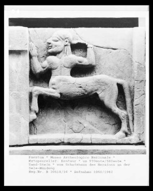 Metopenrelief: Kentaur