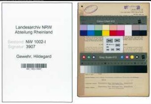 Entnazifizierung Hildegard Gewehr, geb. 14.08.1918 (Kaufm.Angest.)