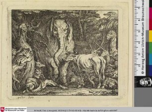 [Le Roi des animaux; Der König der Tiere]