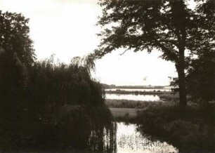 Zschorna. Breiter Teich