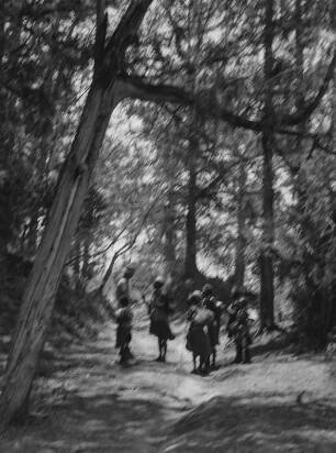 Wald : Personen auf einem Waldweg bei dem Dorf Cholme