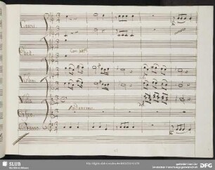Cavatina: Cerco il mio ben così