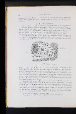 Adenoides Gewebe.