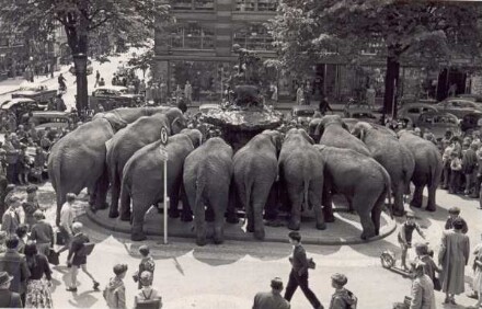 Donopbrunnen mit Elefanten des Zirkus Barum auf dem                               Marktplatz. Detmold. Marktplatz. Info von der LZ: Es zeigt eine Gruppe                               von Zirkus-Elefanten vor dem Donopbrunnen am Marktplatz. Demnach hat                               sich das am 9. Juni 1958 abgespielt; der Zirkus Franz Althoff war in                               der Stadt und hatte gerade Premiere gefeifert