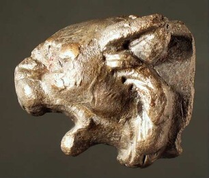 - Objekt ohne Beschreibung - (Pantherkopf)