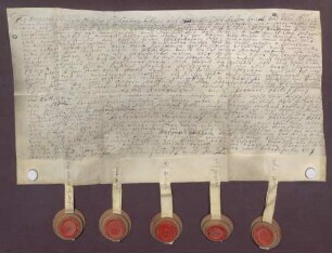 Instrumentum probationis des Grafen Marquard Wilhelm von Schönborn.