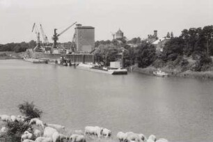Torgau