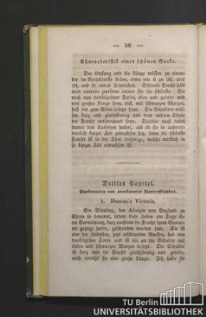 Charakteristik einer schönen Gurke.
