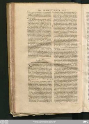 Cap. VII. De Providentia in naturalibus.