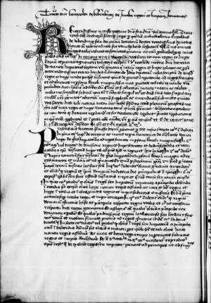 Lupold III., Bamberg, Bischof: De iuribus regni et imperii Romanorum