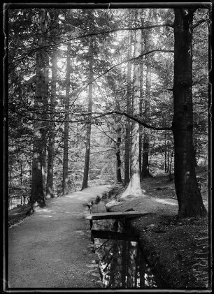 Bad Harzburg, Philosophenweg
