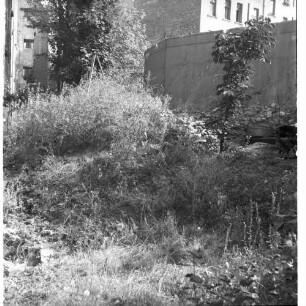 Negativ: Gelände, Wartburgstraße 50, 1951