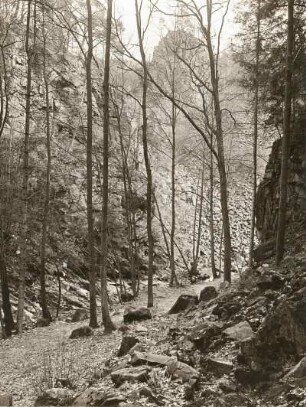 Mittelsächsisches Bergland. Rochsburg. Brausetal, Felsriegel