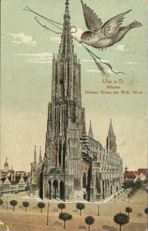 Ulm a. D. - Münster [...]
