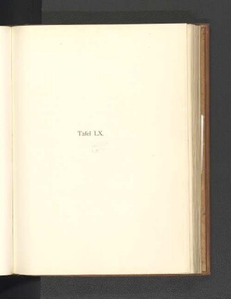 Tafel LX.