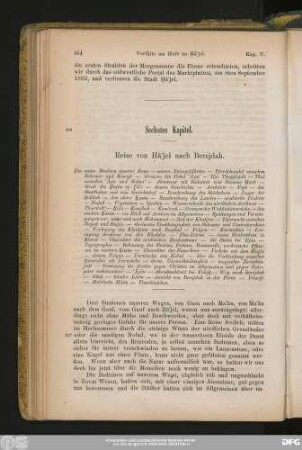Sechstes Kapitel. Reise von Ḥâ'jel nach Berejdah.